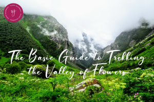 Basic Guide to trekking the Valley of Flowers