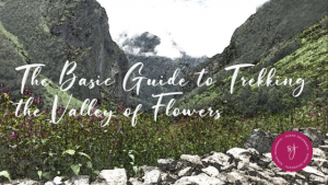 The Basic Guide to trekking the Valley of Flowers