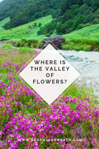 where-is-the-valley-of-flowers