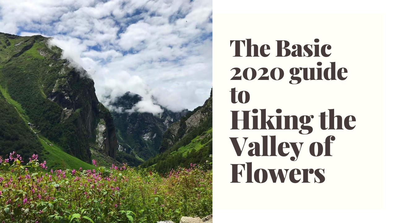 Valley of Flowers – Post Pandemic Safety on the Trek