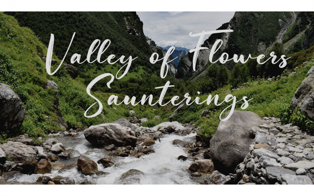 Secret Saunterings around the Valley of Flowers – Listen to a short excerpt from the book
