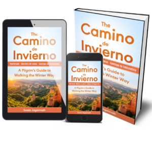 Image of the The Camino Invierno books