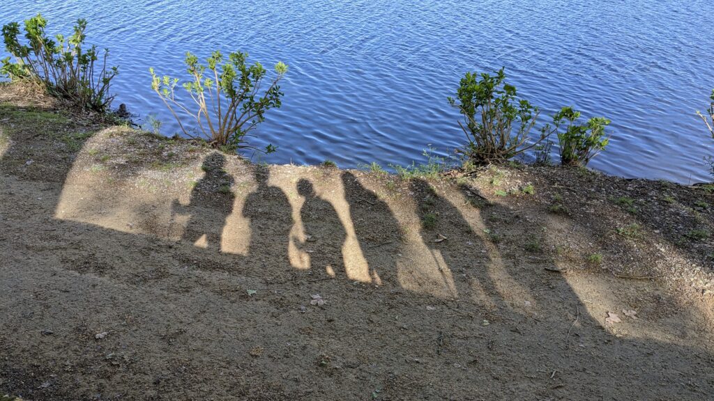 susanjagannath-camino-1