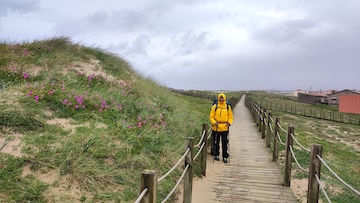 susanjagannath portuguese camino boardwalk