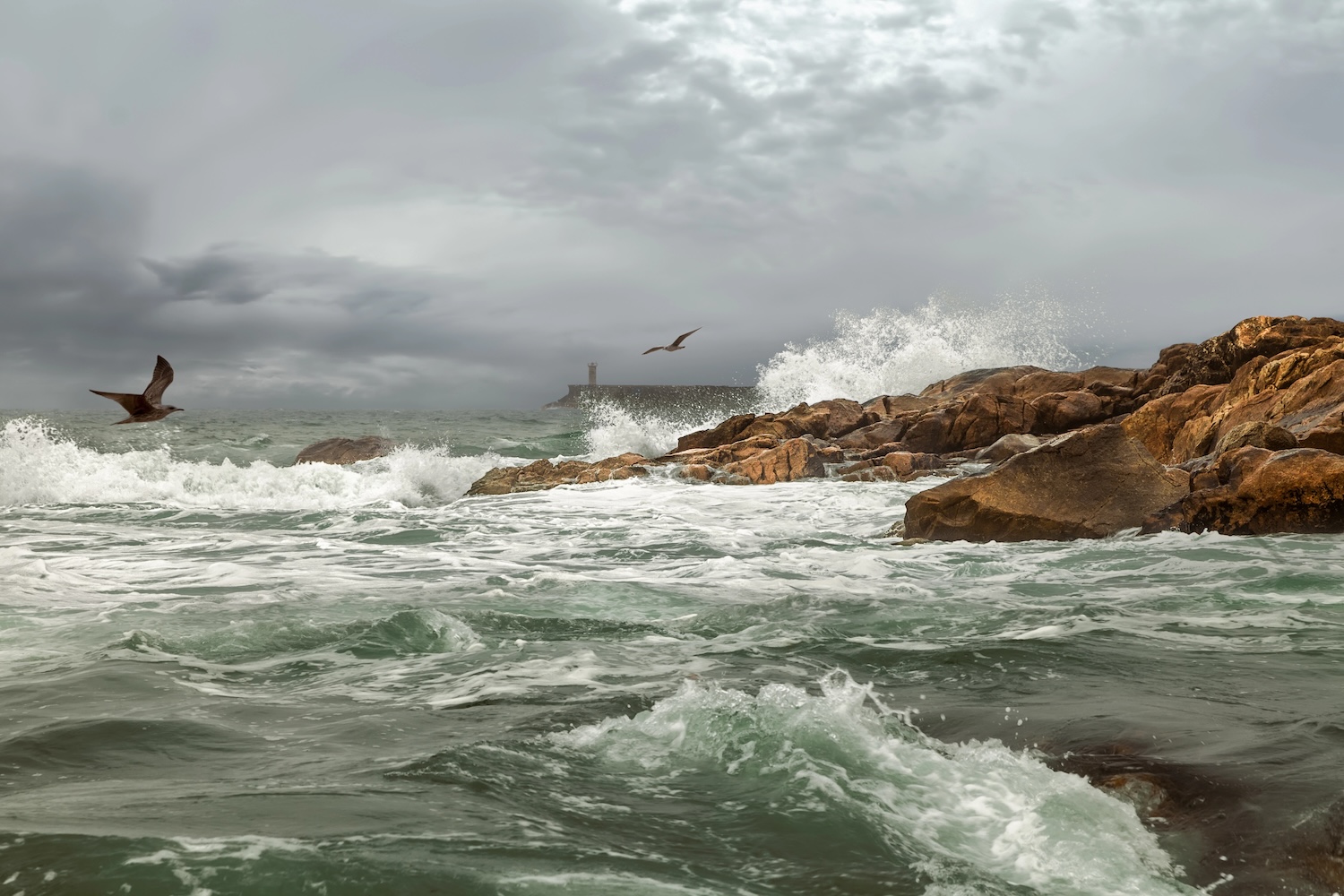 susanjagannath Portuguese Camino douro mouth