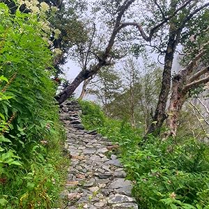 TheCaminoInglesSusanJagannathMap1