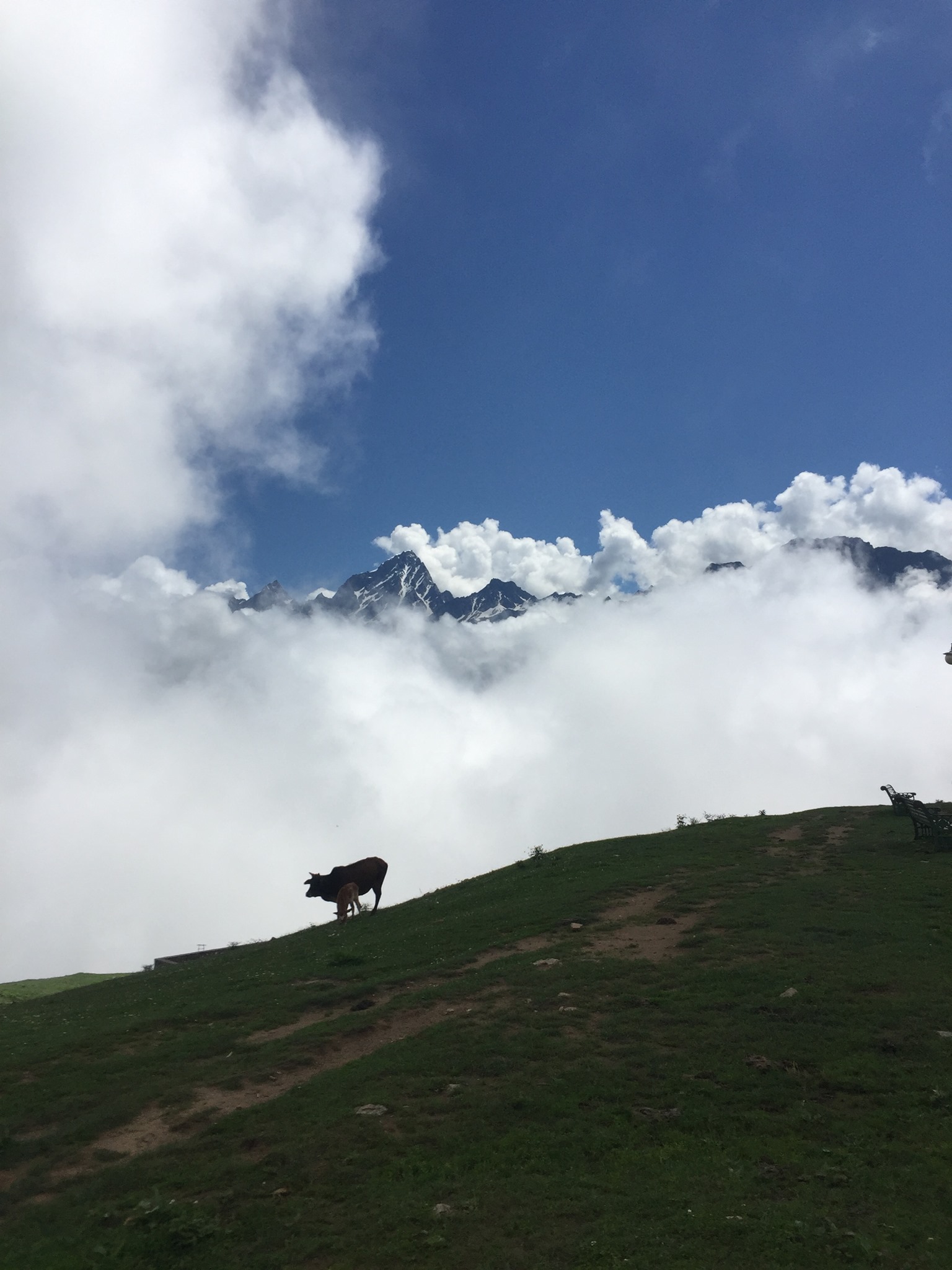 TheCaminoInglesSusanJagannathMap1