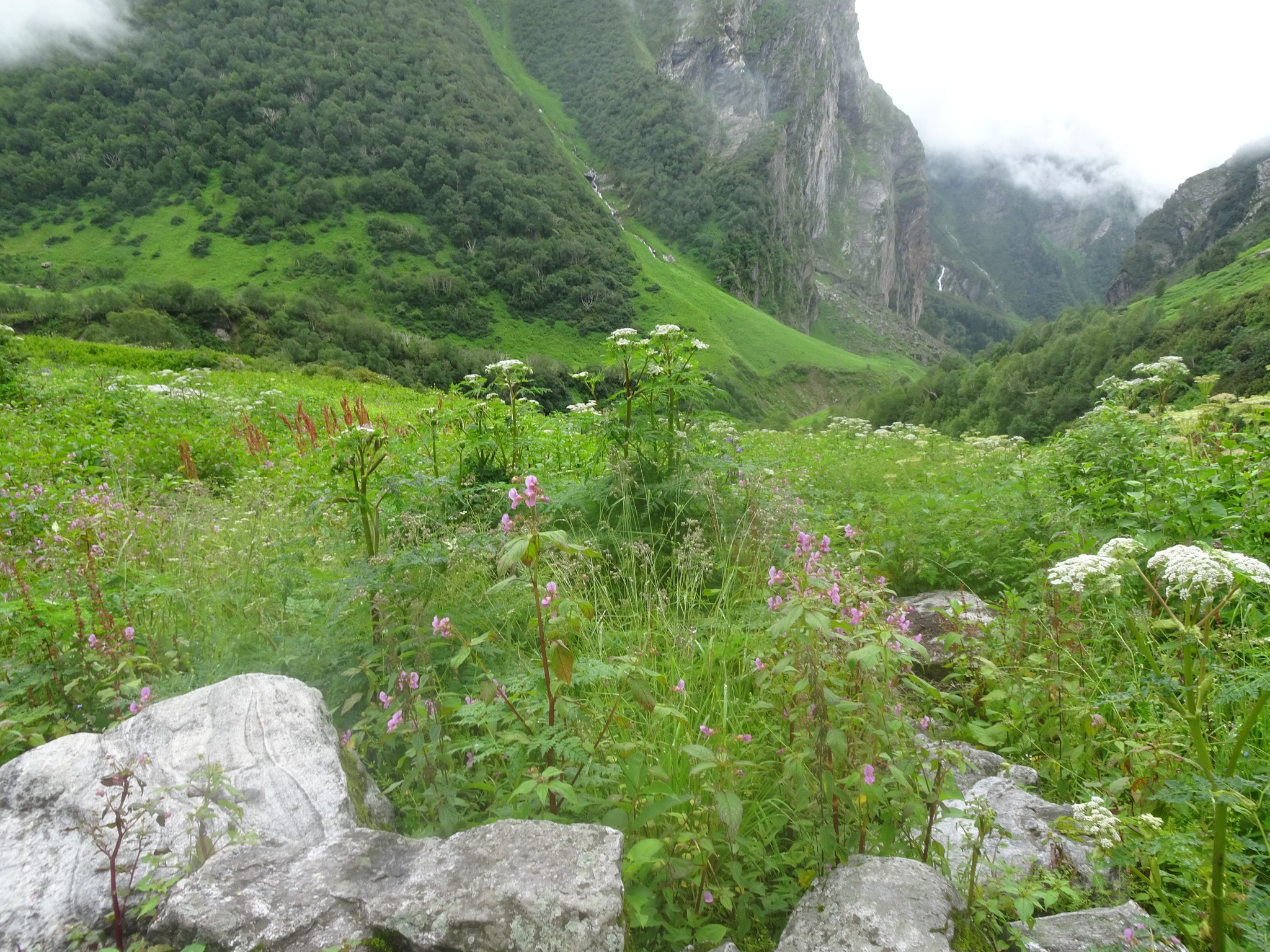 TheCaminoInglesSusanJagannathMap1