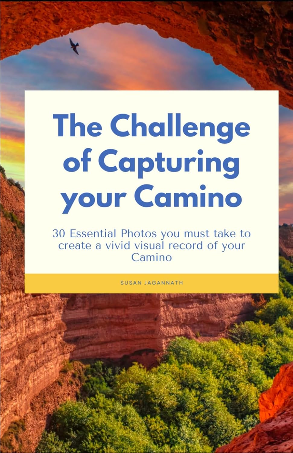TheChallengeofCapturingyourCaminoSusanJagannath