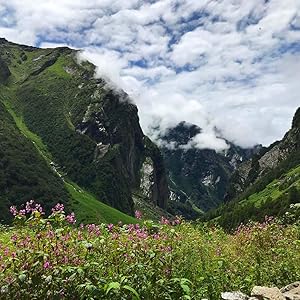 TheCaminoInglesSusanJagannathMap1