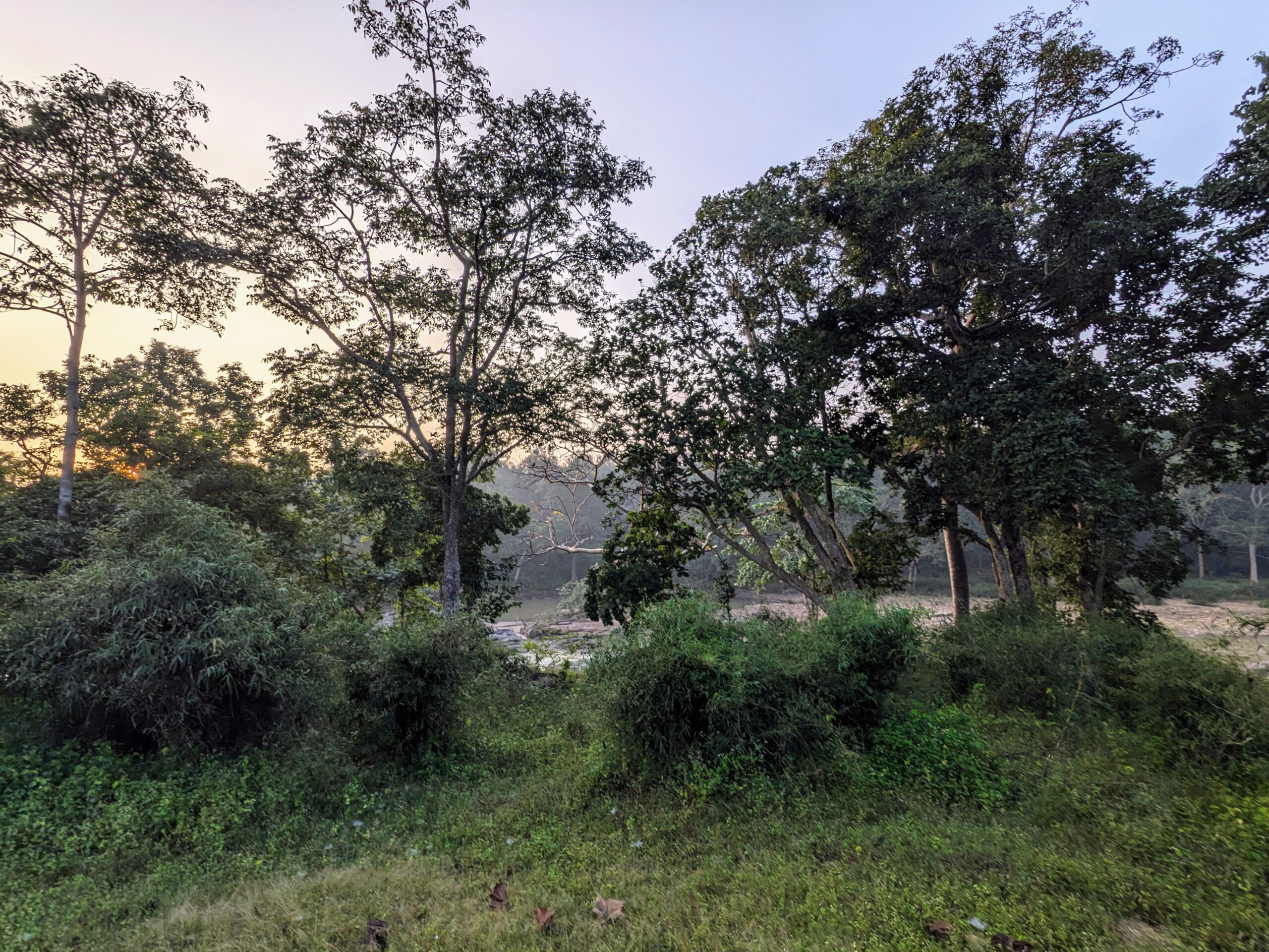 susanjagannath-kanha-1