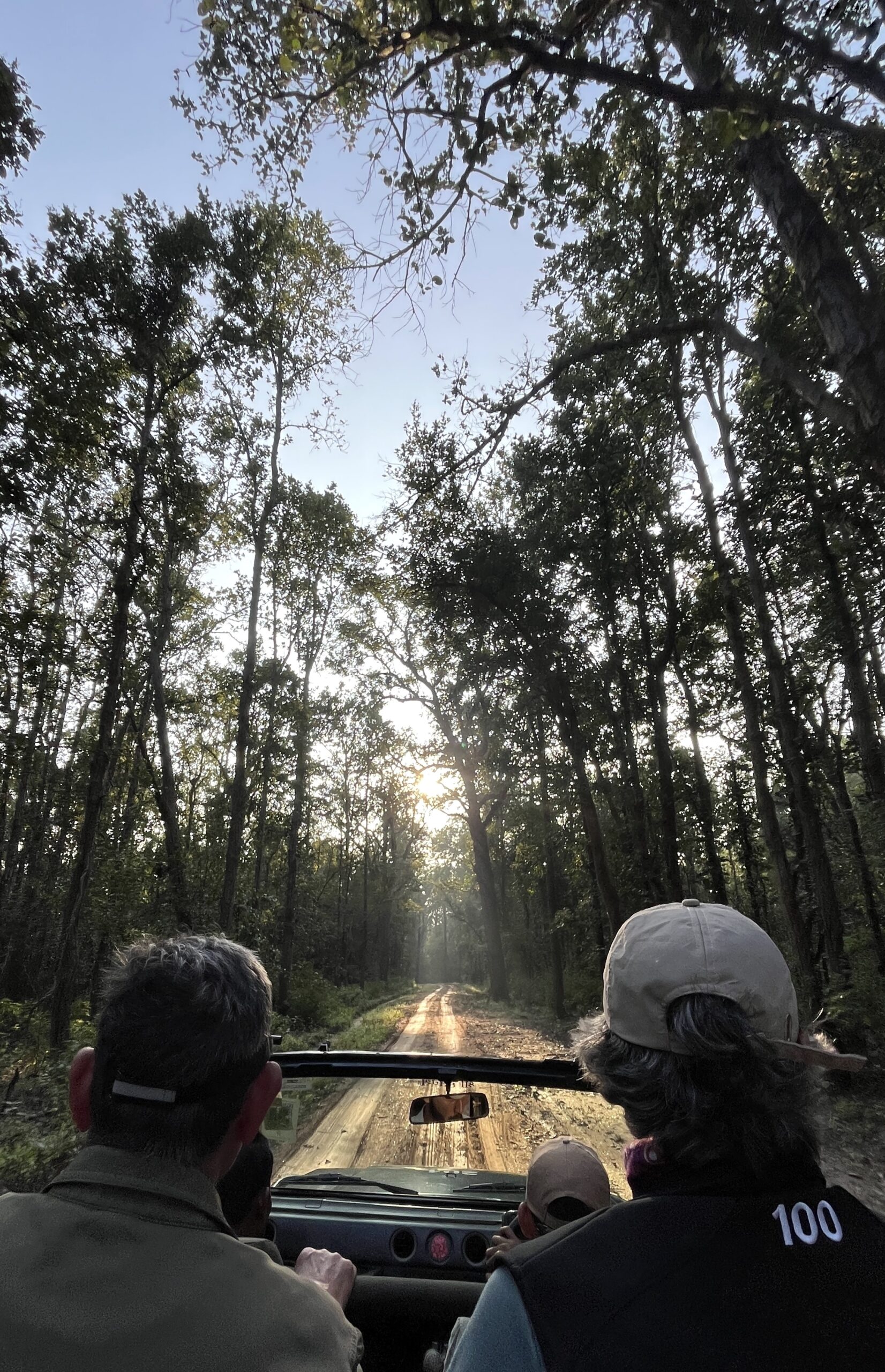 susanjagannath-kanha00003