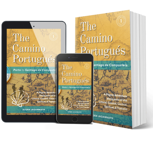 The Camino Invierno books